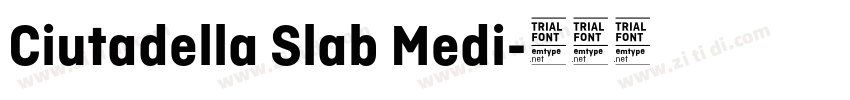 Ciutadella Slab Medi字体转换